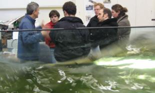 Experts in Energy Systems and Wave Power work in tandem at Edinburgh University