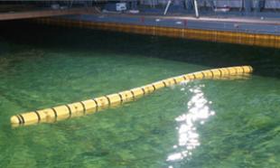 Sea snake testing in a basin